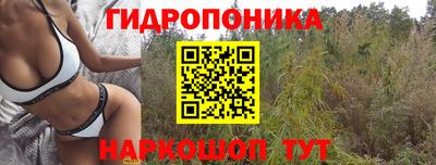 соль ск Заводоуковск